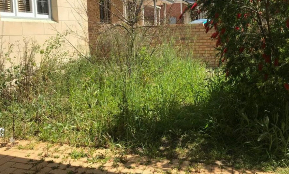 Residential Landscaping & Turf Installation – Newcastle NSW